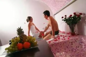 Villa Dubrava And Wellness Opatija Hotel